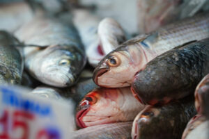 Secretaria de Aquicultura e Pesca institui Grupo de Trabalho para viabilizar venda de pescado na Ceasa