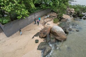 Mortandade de peixes em Florianópolis e São José gera alerta dos órgãos de fiscalização