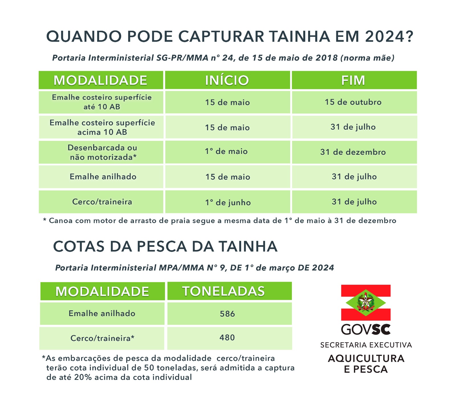 SAQ alerta aos pescadores sobre períodos e cotas para captura da tainha